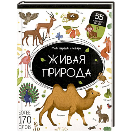 Азбука. Букварь, книга Мой первый словарь. Живая природа купить по низкой цене