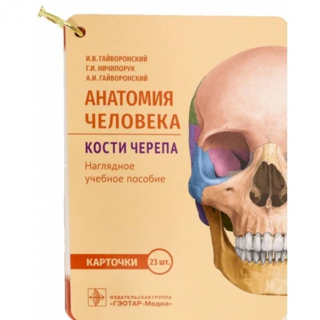 Специальная медицина, книга Анатомия человека. Кости черепа. 23 карточки купить по низкой цене