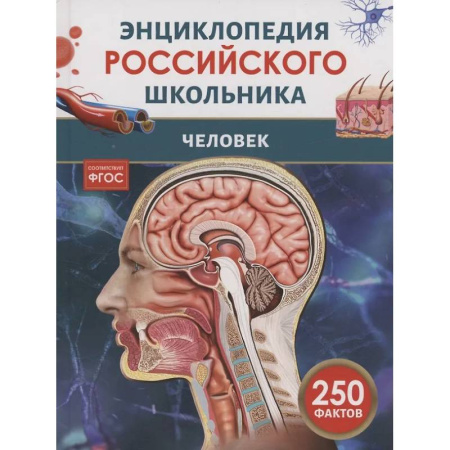 Человек. Земля. Вселенная, книга Человек купить по низкой цене