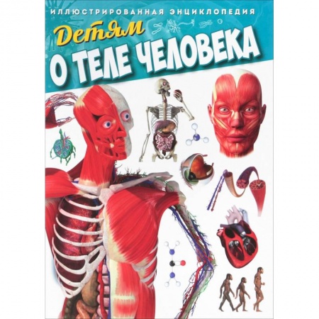 Человек. Земля. Вселенная, книга Детям о теле человека. Иллюстрированная энциклопедия купить по низкой цене