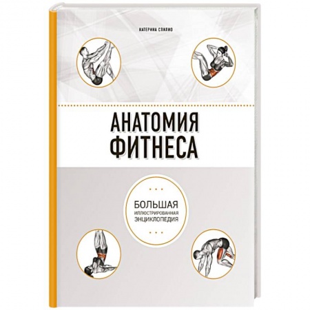 Анатомия и физиология человека, книга Анатомия фитнеса купить по низкой цене