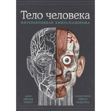 Человек. Земля. Вселенная, книга Тело человека. Интерактивная книга-панорама купить по низкой цене