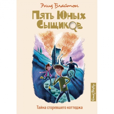 Приключения. Детективы, книга Тайна сгоревшего коттеджа купить по низкой цене