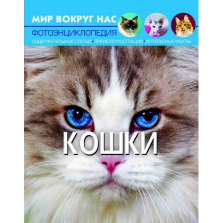 Животный и растительный мир, книга Мир вокруг нас. Кошки купить по низкой цене