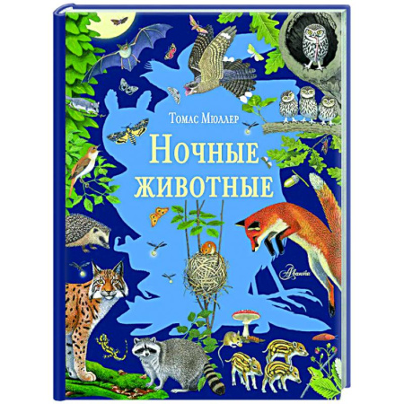 Животный и растительный мир, книга Ночные животные купить по низкой цене
