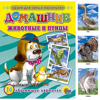 Обучающие карточки. Домашние животные и птицы