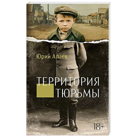 Русская современная проза, книга Территория тюрьмы купить по низкой цене