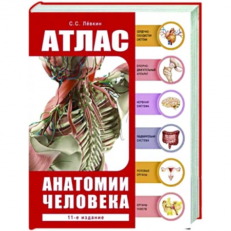 Популярная и нетрадиционная медицина, книга Атлас анатомии человека купить по низкой цене