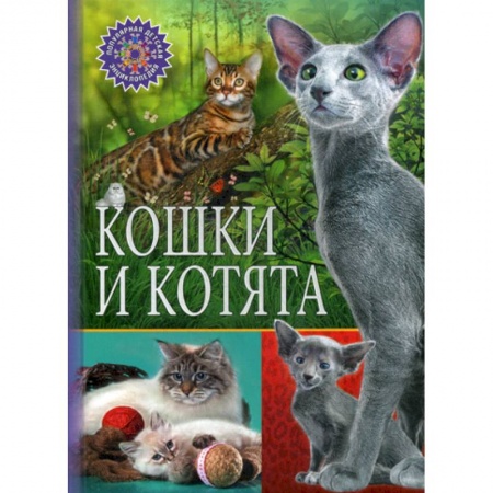 Животный и растительный мир, книга Кошки и котята купить по низкой цене