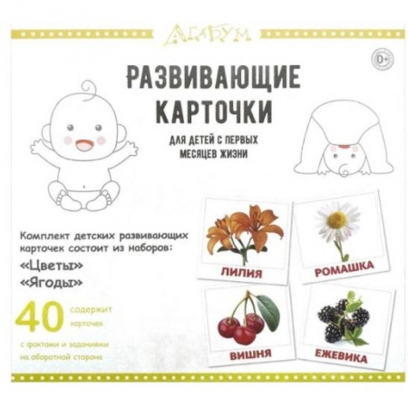 Познавательная литература, книга Развивающие карточки 'Цветы и ягоды' (40 карточек) купить по низкой цене