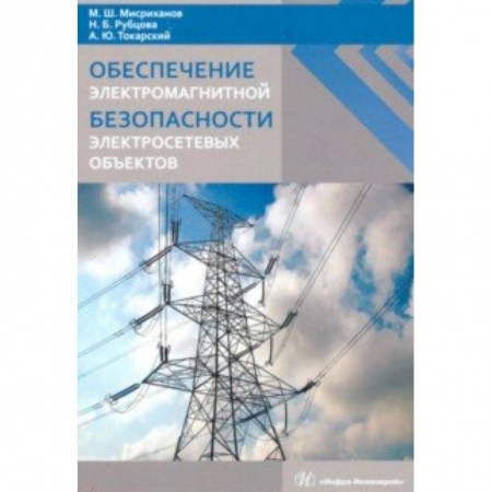 Энергетика. Электротехника, книга Обеспечение электромагнитной безопасности электросетевых объектов купить по низкой цене