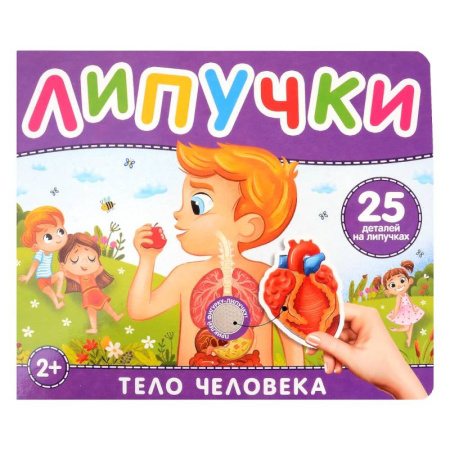 Этикет. Внешность.Гигиена. Личная безопасность, книга Тело человека. Книга с липучками купить по низкой цене