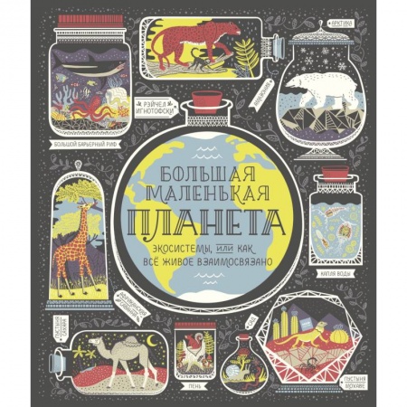 Человек. Земля. Вселенная, книга Большая маленькая планета. Экосистемы, или Как всё живое взаимосвязано купить по низкой цене