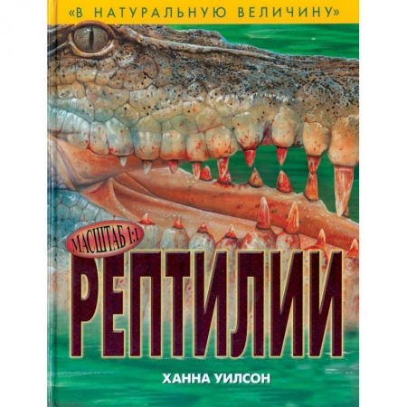 Книги, книга Рептилии купить по низкой цене