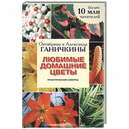 Книги, книга Любимые домашние цветы купить по низкой цене