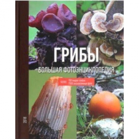Грибы. Справочники. Определители, книга Грибы купить по низкой цене