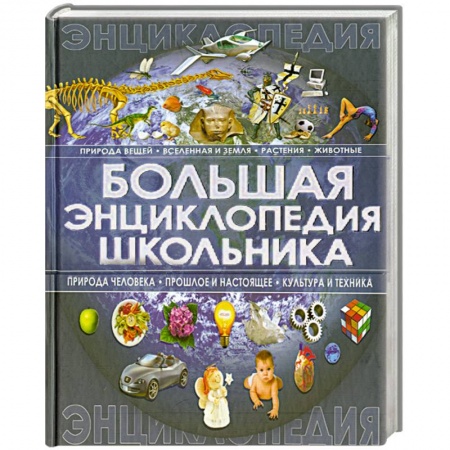 Книги, книга Большая энциклопедия школьника купить по низкой цене