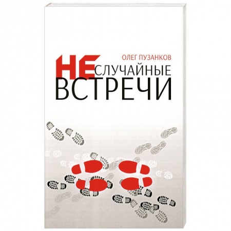 Духовная литература, книга Неслучайные встречи купить по низкой цене