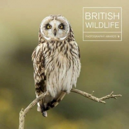 Чтение на английском языке, книга British Wildlife. Photography Awards 9 купить по низкой цене