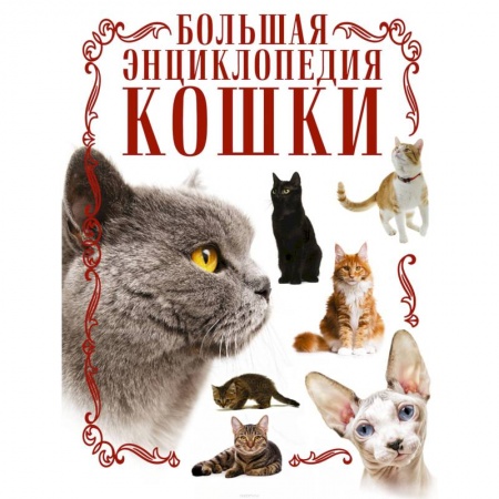 Кошки, книга Кошки. Большая энциклопедия купить по низкой цене