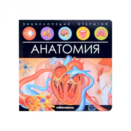 Книги для дошкольников (4-6 лет), книга Энциклопедия открытий. Анатомия купить по низкой цене
