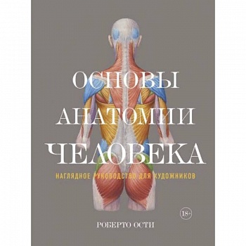 Основы анатомии человека. Наглядное руководство для художника