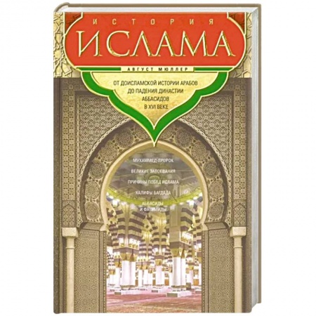 Религиоведение. История религий, книга История ислама. От доисламской истории арабов до падения династии Аббасидов в XVI веке купить по низкой цене