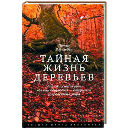 Ботаника, книга Тайная жизнь деревьев. Что они чувствуют, как они общаются — открытие сокровенного мира купить по низкой цене