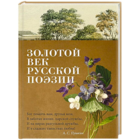 Русская поэзия, книга Золотой век русской поэзии купить по низкой цене