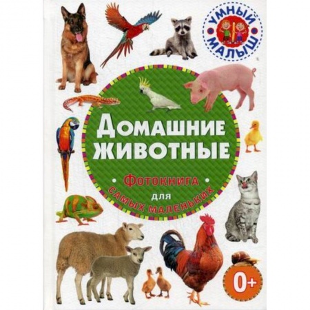 Животный и растительный мир, книга Домашние животные купить по низкой цене