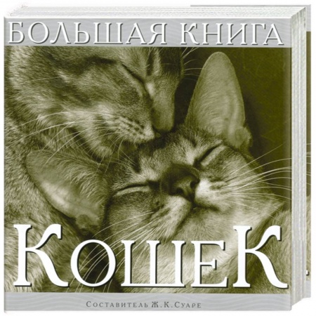 Книги, книга Большая книга кошек купить по низкой цене