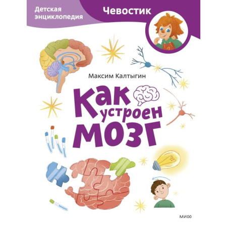 Человек. Земля. Вселенная, книга Как устроен мозг. Детская энциклопедия купить по низкой цене