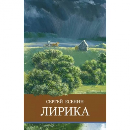 Русская поэзия для детей, книга Лирика купить по низкой цене