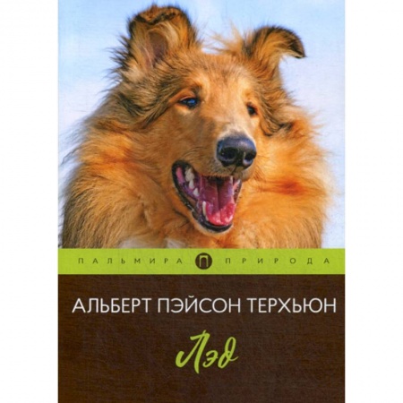 Зарубежная современная проза, книга Лэд купить по низкой цене