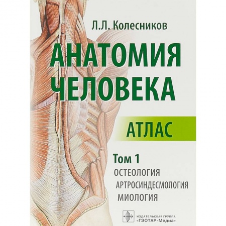Биологические науки, книга Анатомия человека. Атлас в 3-х томах. Том 1. Остеология, артросиндесмология, миология купить по низкой цене