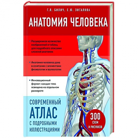 Медицинские энциклопедии и справочники, книга Анатомия человека. Современный атлас с подробными иллюстрациями купить по низкой цене