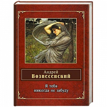 Я тебя никогда не забуду