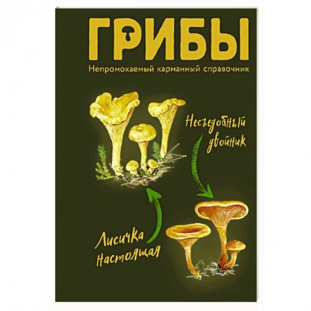 Грибы. Справочники. Определители, книга Грибы. Непромокаемый карманный справочник купить по низкой цене