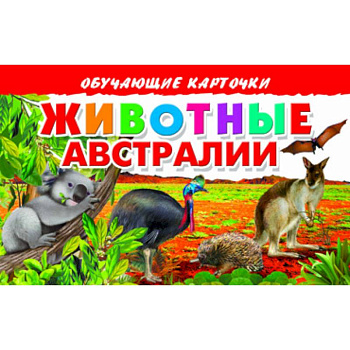 Карточки. Животные Австралии