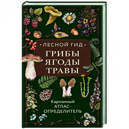 Грибы. Справочники. Определители, книга Лесной гид: грибы, ягоды, травы. Карманный атлас-определитель купить по низкой цене
