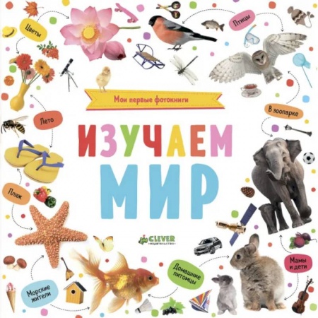 Животный и растительный мир, книга ДСнК. Познаем мир вместе. Мои первые фотокниги. Изучаем мир. купить по низкой цене