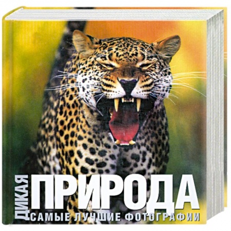 Книги, книга Дикая природа: Самые лучшие фотографии купить по низкой цене