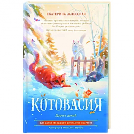 Сказки отечественных писателей, книга Котовасия. Дорога домой купить по низкой цене