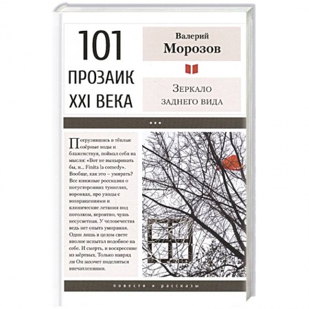 Русская современная проза, книга Зеркало заднего вида купить по низкой цене