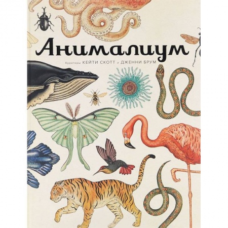 Книги, книга Анималиум купить по низкой цене