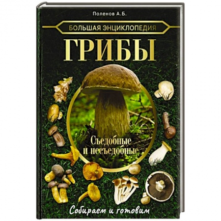 Грибы. Справочники. Определители, книга Большая энциклопедия. Грибы. Съедобные и несъедобные. Собираем и готовим купить по низкой цене