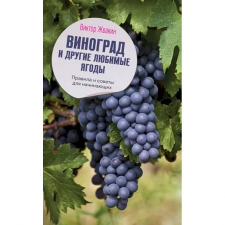 Плодовые и ягодные культуры, книга Виноград и другие любимые ягоды. Правила и советы для начинающих купить по низкой цене