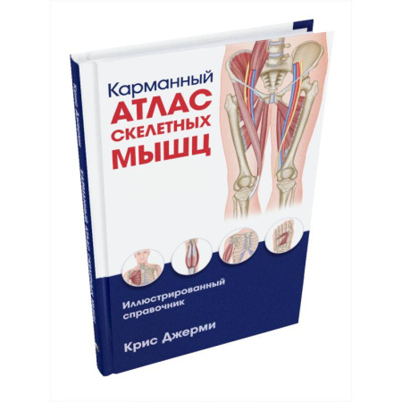 Анатомия и физиология человека, книга Карманный атлас скелетных мышц: Иллюстр.справочник купить по низкой цене