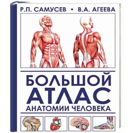 Медицинские энциклопедии и справочники, книга Большой атлас анатомии человека купить по низкой цене