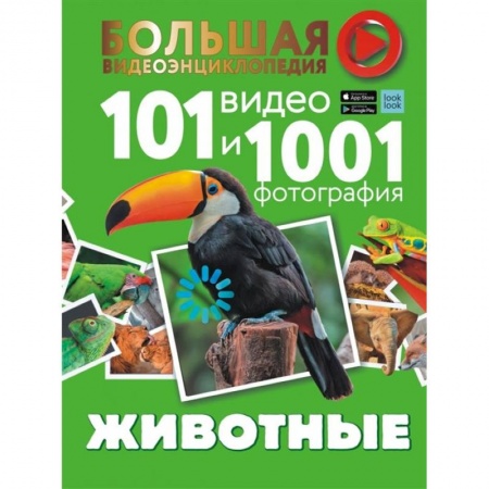 Животный и растительный мир, книга Животные. 101 видео и 1001 фотография купить по низкой цене